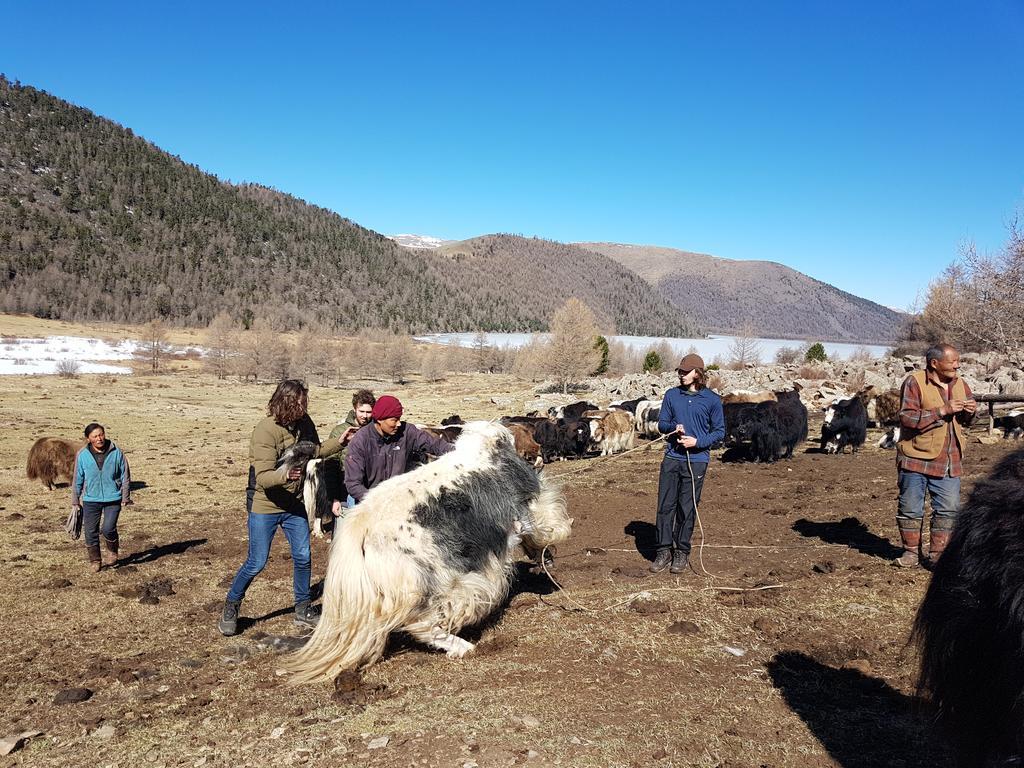Vast Mongolia Tour & Hostel Ulaanbaatar Ngoại thất bức ảnh